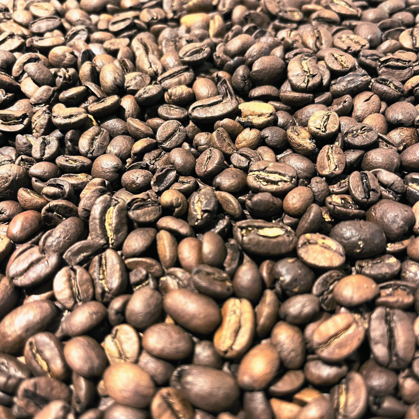Decaf Coffee Bean Bag Roasted |Whole Bean Coffee Blend Wattle Cafe 12oz